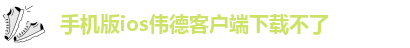 韦德电竞